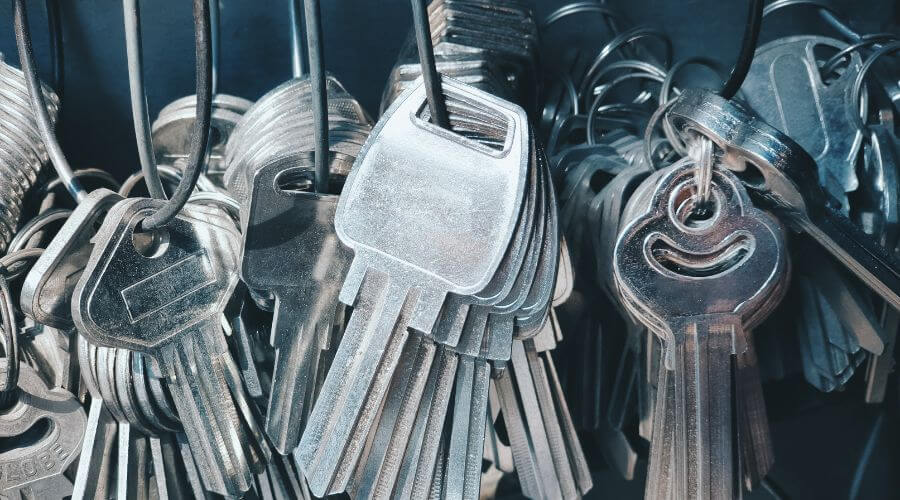 Local Siding Services in Donna, TX